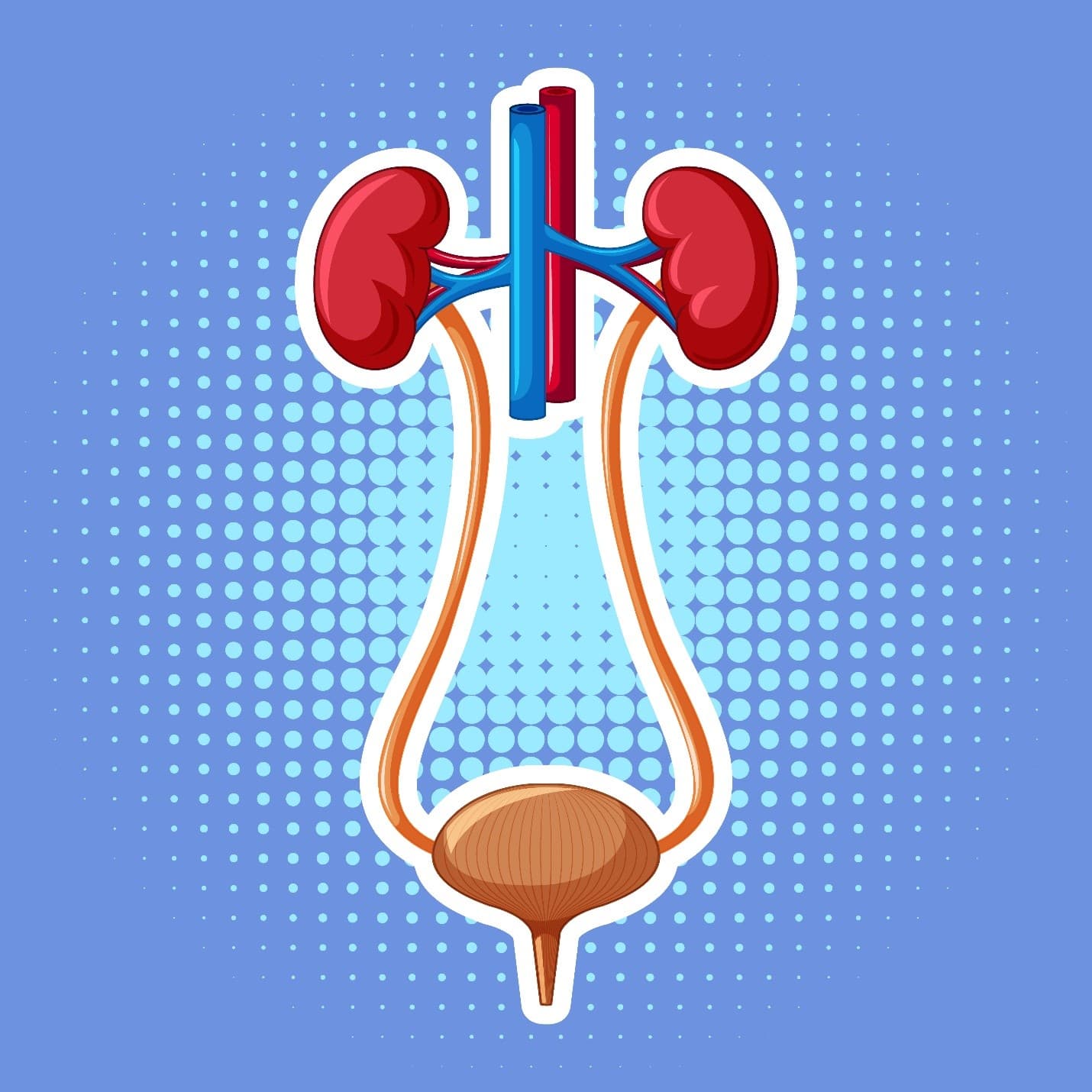 Leveraging Market Intelligence to Navigate the Global Underactive Bladder Market